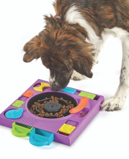 Jeux d'intelligence jeux de réflexion puzzle Brightkins Dj Doggo pour chien chat