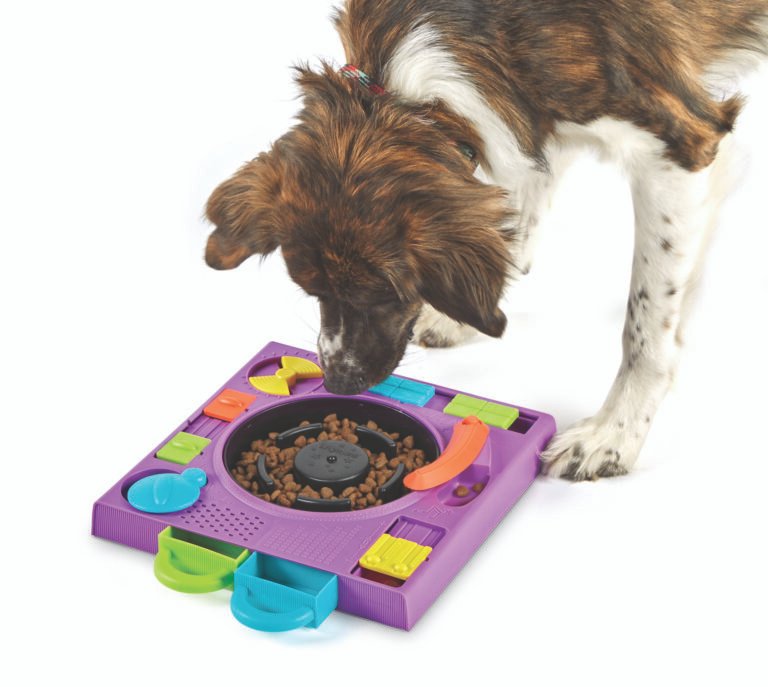 Jeux d'intelligence jeux de réflexion puzzle Brightkins Dj Doggo pour chien chat
