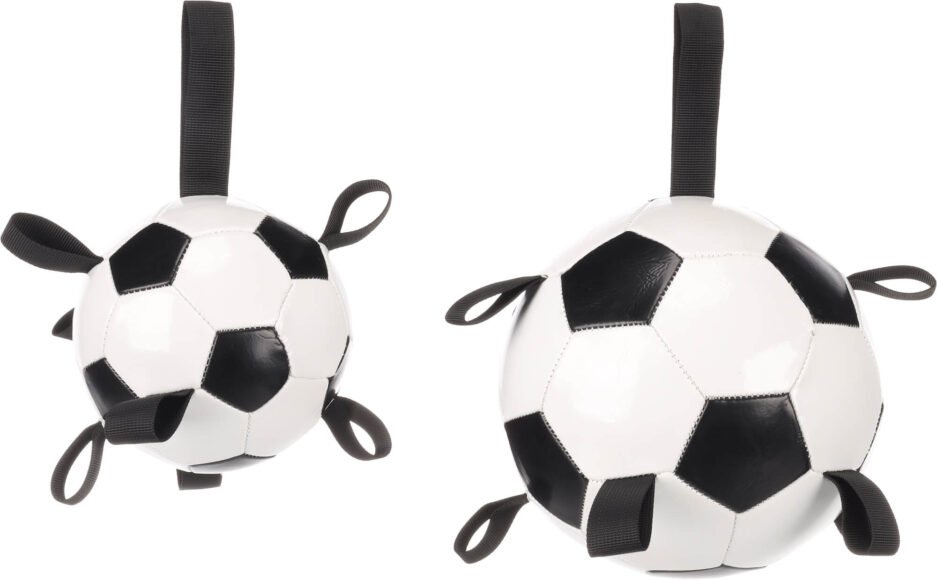 jouets interactif pour chien, jouets pour chien actif, balle pour chien, Wyatt Toys