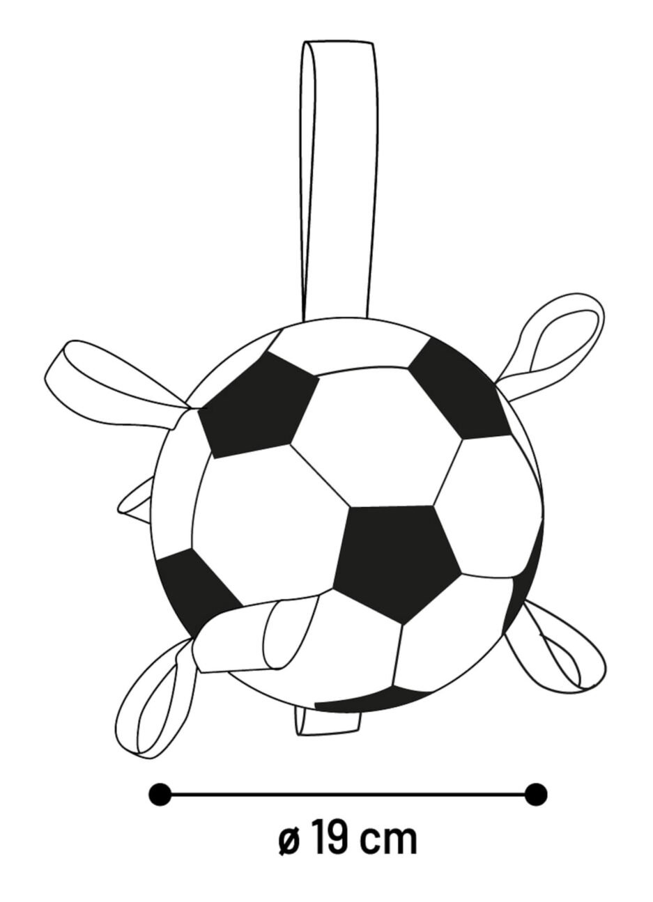 jouets interactif pour chien, jouets pour chien actif, balle pour chien, Wyatt Toys