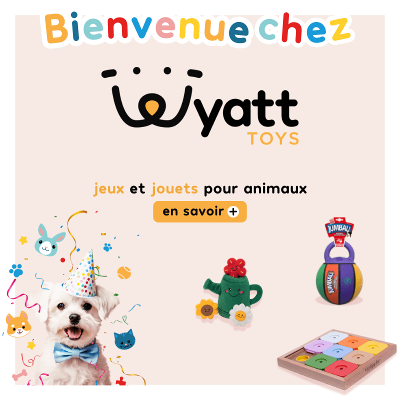Wyatt Toys magasin de jeux et jouets pour chiens, chats et NAC