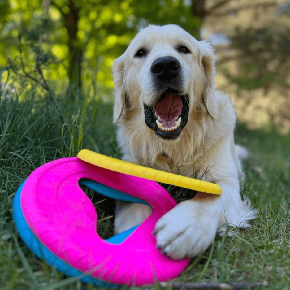 Frisboo, Frisbee pour chien de la marque Fiboo
