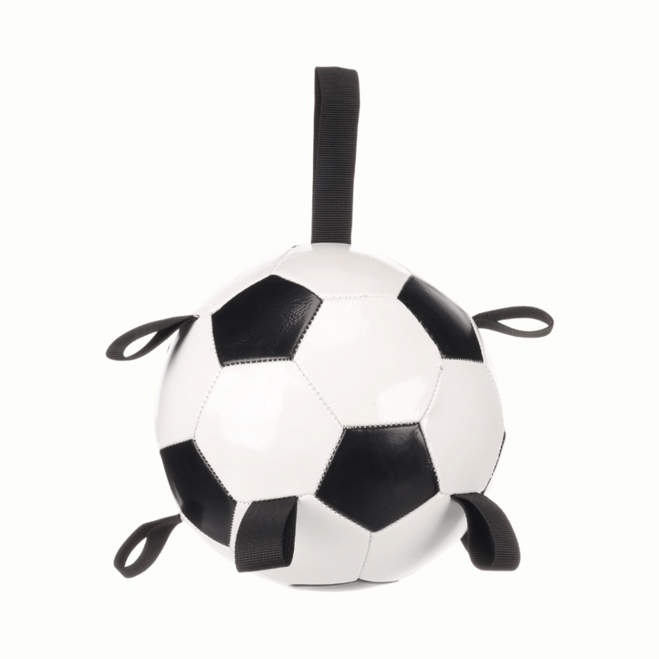 jouet ballon de foot pour chiens TOWA