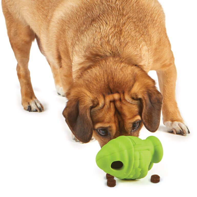 distributeur interactif de croquettes et friandises Gnome pour chien