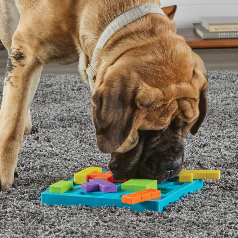 Puzzle casse-tête pour chien – Jeu interactif stimulant l’intelligence et la concentration pour chiens de tout âge.