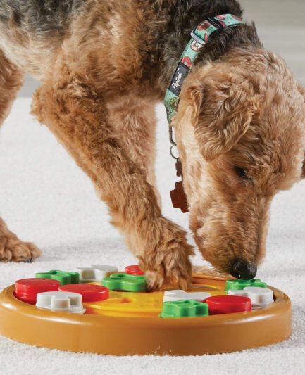 jeux d'intelligence pour chien pizza party