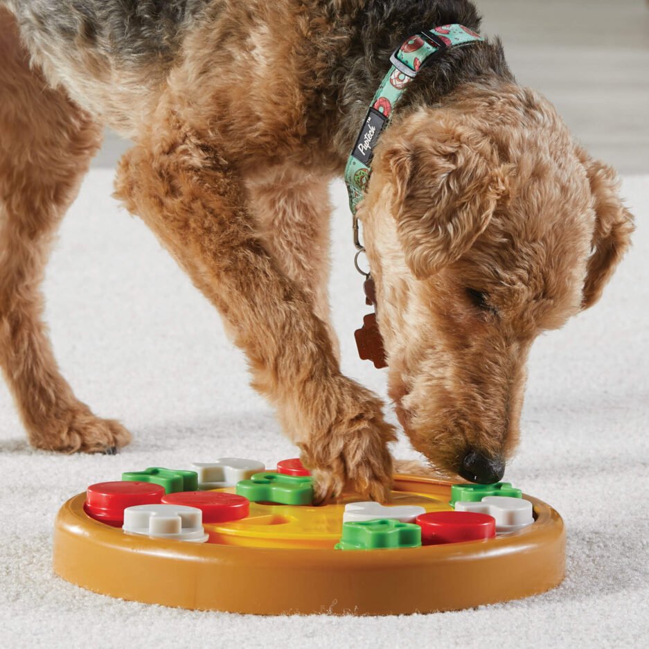 jeux d'intelligence pour chien pizza party