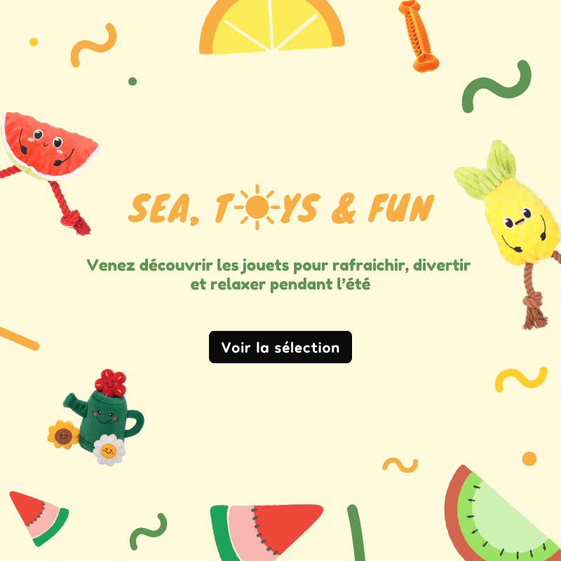 Jeux et jouets d'été pour rafraichir, divertir et relaxer votre chien, chat et NAC