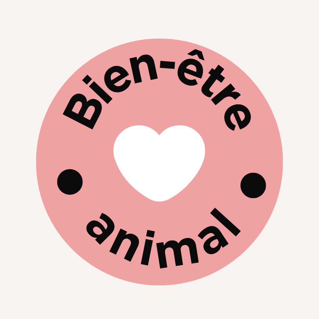 Bien-être animal Wyatt Toys sur les jouets pour chiens, chats et NAC