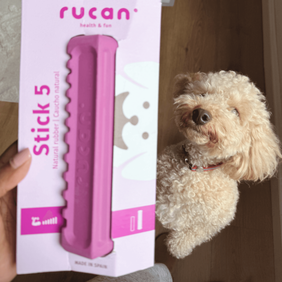 Jouet d'occupation multifonctions Rucan Stick 5