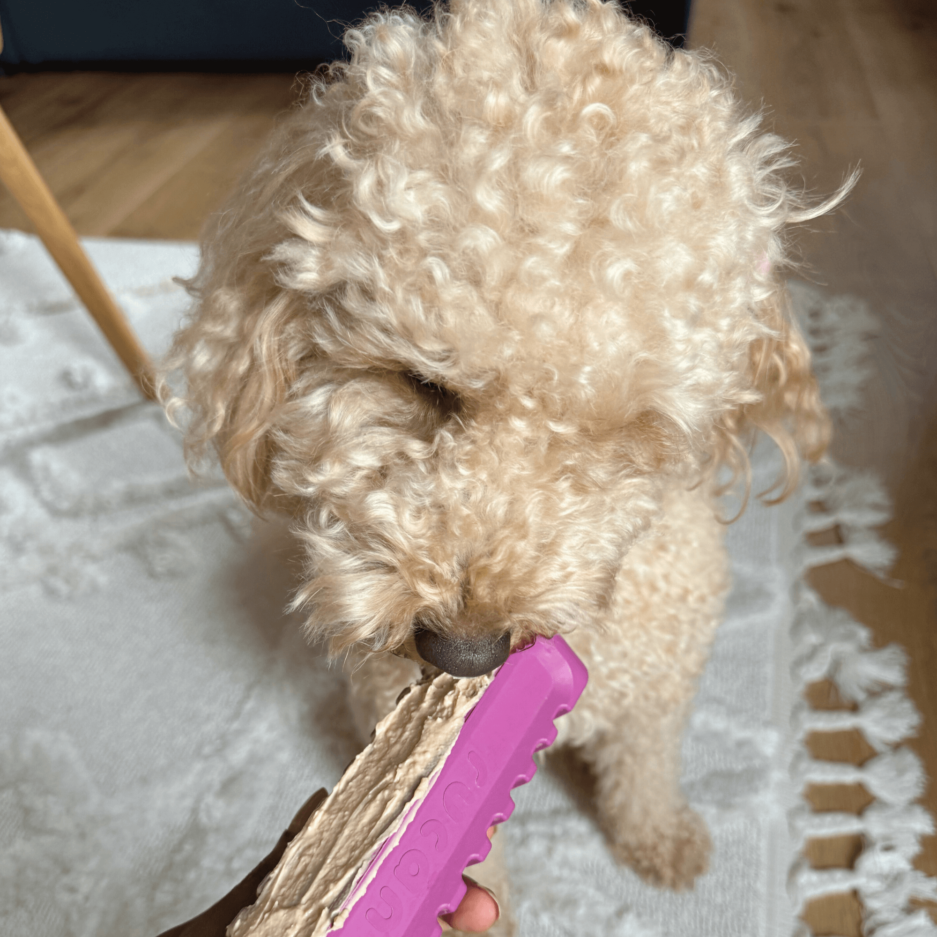 Jouet de léchage Rucan pour chiens