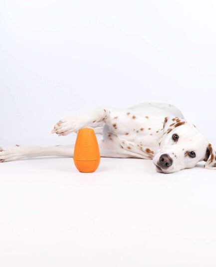 Jouet d'occupation pour chien le Cône Rucan