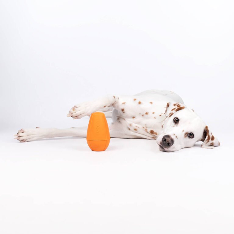 Jouet d'occupation pour chien le Cône Rucan