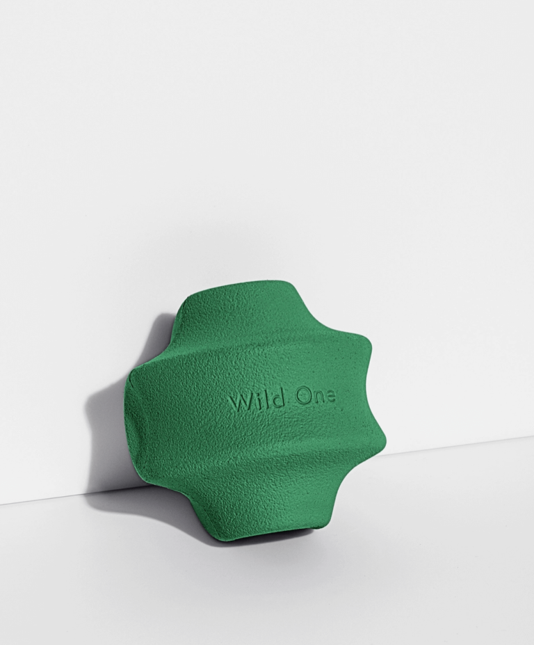 Jouet pour chien Twist toss de Wild One