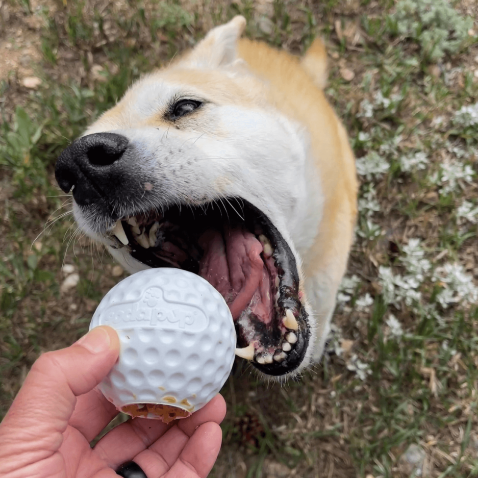 Distributeur de friandises en caoutchouc pour balles de golf et jouet d'enrichissement Sodapup