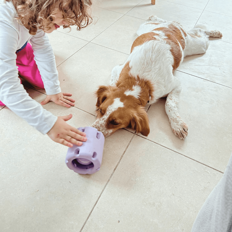 Jouet puzzle pour chien Tennis Tumble de Wild one