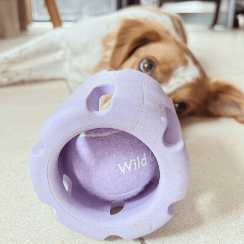 Jouet puzzle pour chien Tennis Tumble de Wild one
