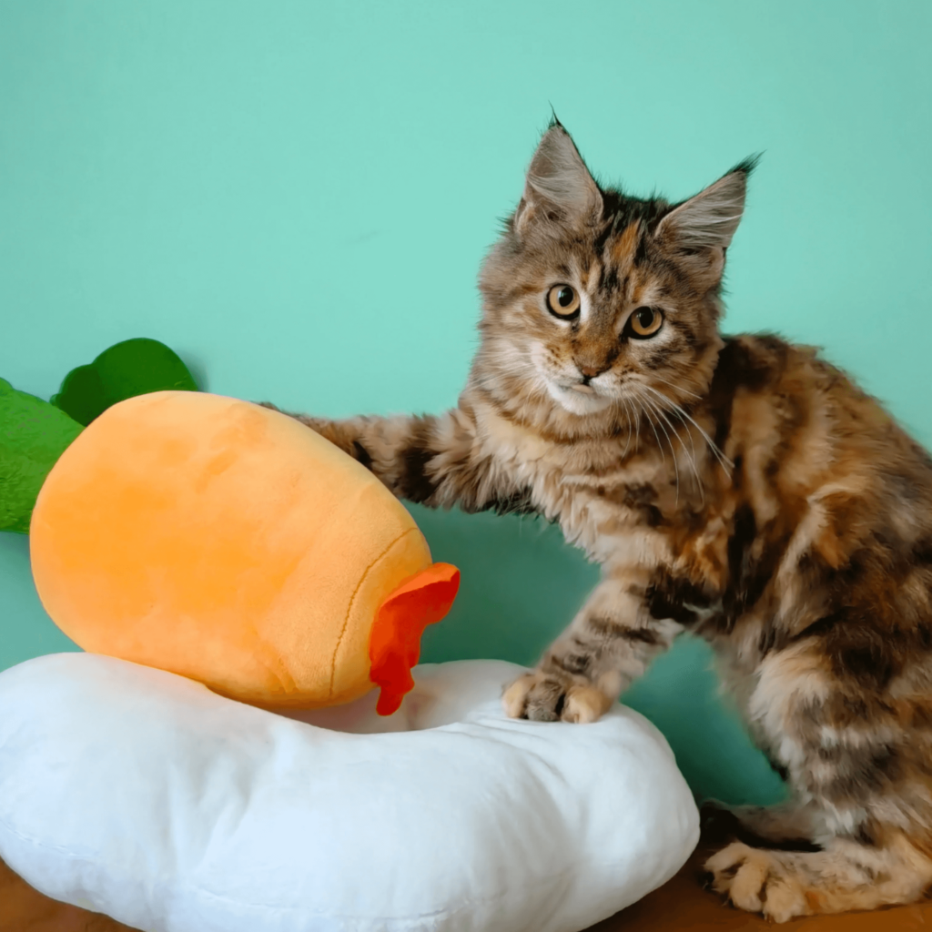 Supwow Carotte moelleuse jouet pour chien, jouet pour chat, jeux de réflexion, jeux de fouille, peluche de fouille Carotte moelleuse