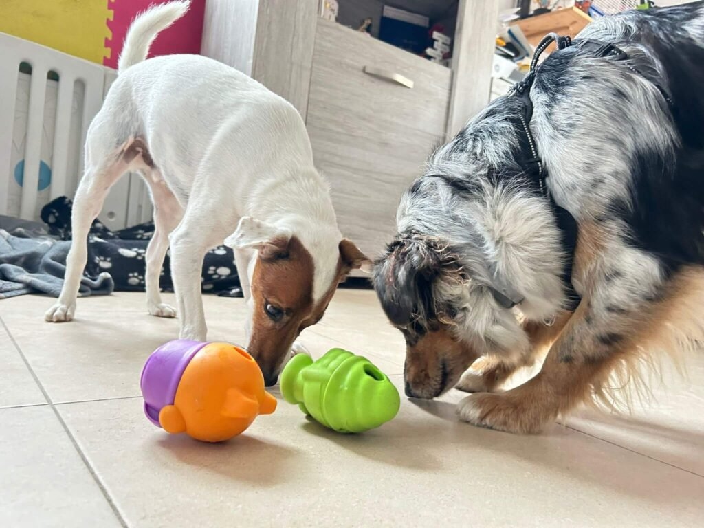 Gloutonnerie animal, Surpoids animal, Comportements problématiques chien, Comportements problématiques chat, Jouets pour chiens, Jouets pour chats