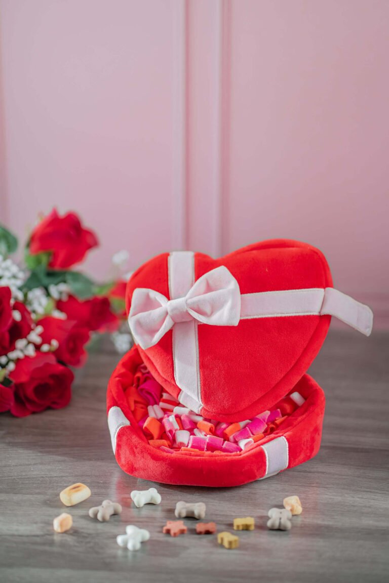 Jouet interactif peluche cœur avec biscuits cachés – une surprise parfaite pour la Saint-Valentin de votre chien !