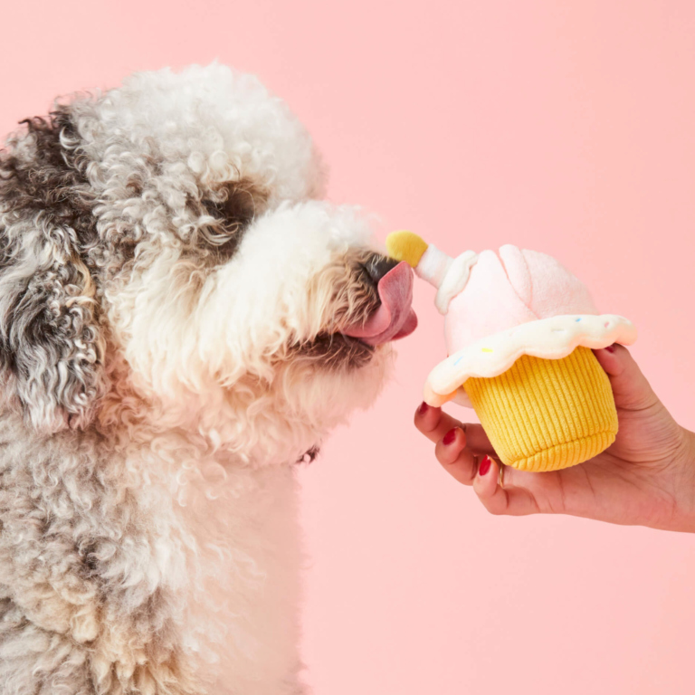 Chien heureux jouant avec une peluche interactive en forme de cupcake – jouet de fouille stimulant et anti-ennui.