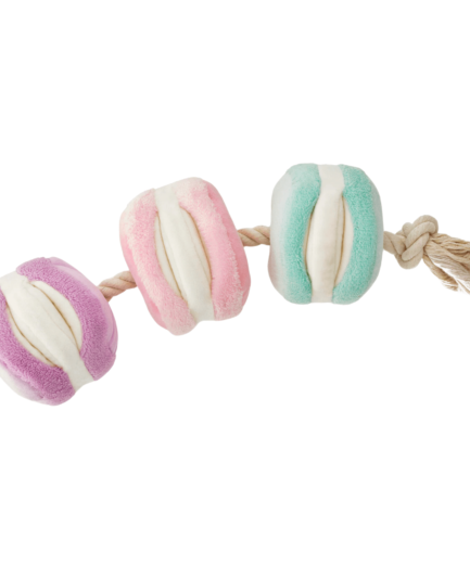 Un chien joyeux explore un jouet interactif pour chien Macarons, un jouet conçu pour cacher des friandises et stimuler son flair. Il pousse délicatement le jouet avec son museau, cherchant sa récompense avec enthousiasme.