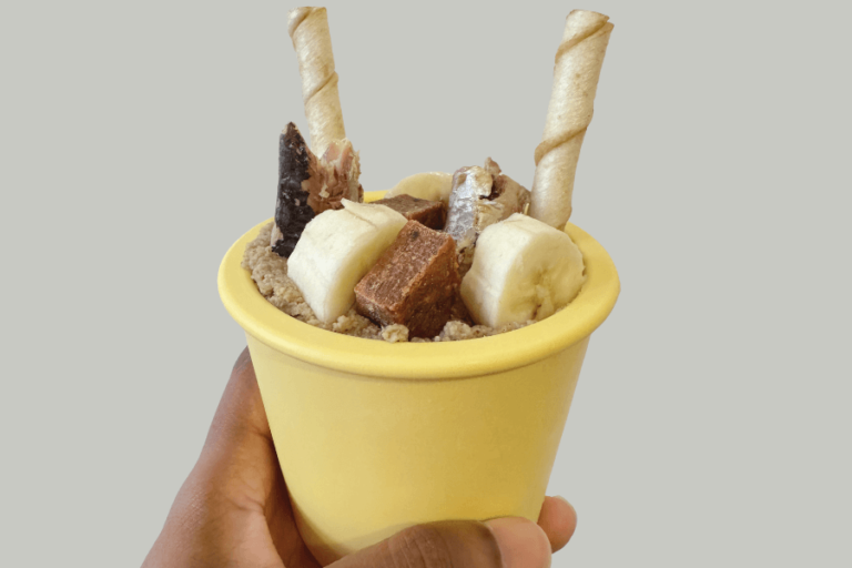 Pot de léchage Fibeek garni : pâté de croquettes, sardine, banane et biscuits croquants – une recette maison saine et gourmande pour chiens.