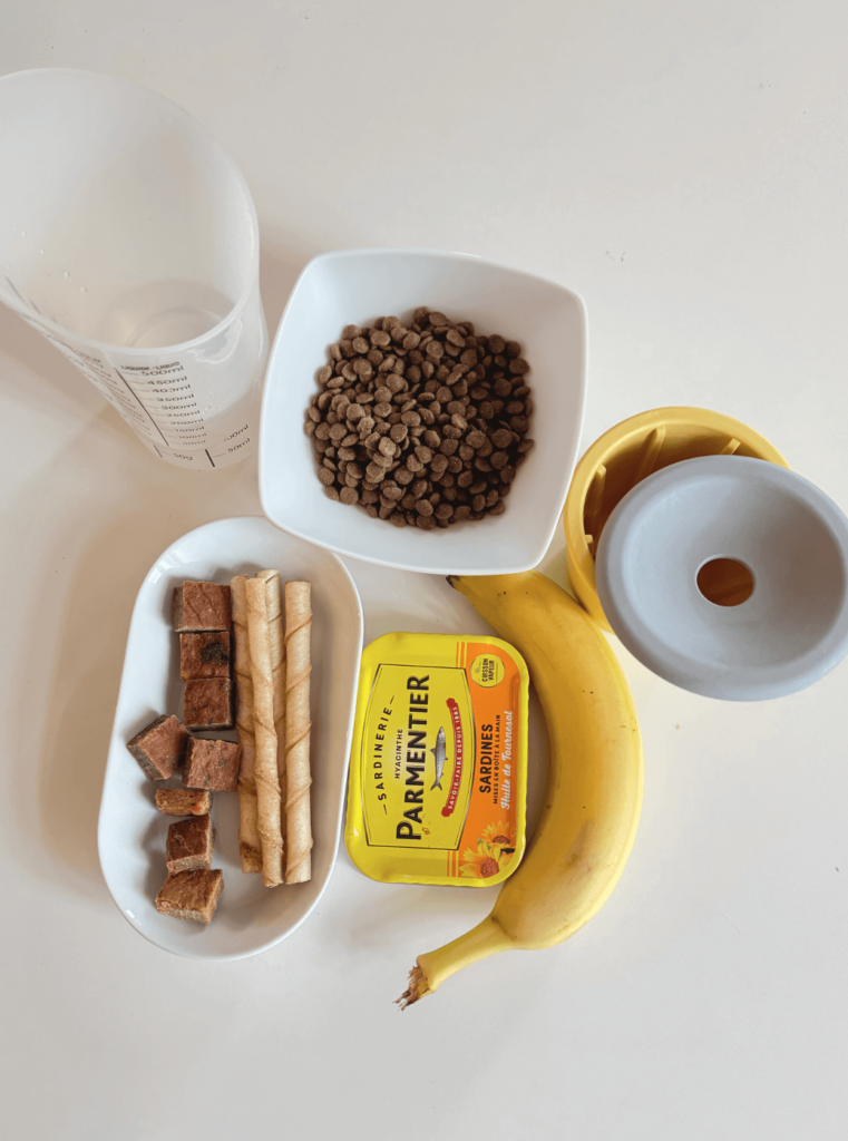 Ingrédients naturels pour recette de pot de léchage : pâté de croquettes, sardine riche en oméga-3, banane énergétique et biscuits pour chien.