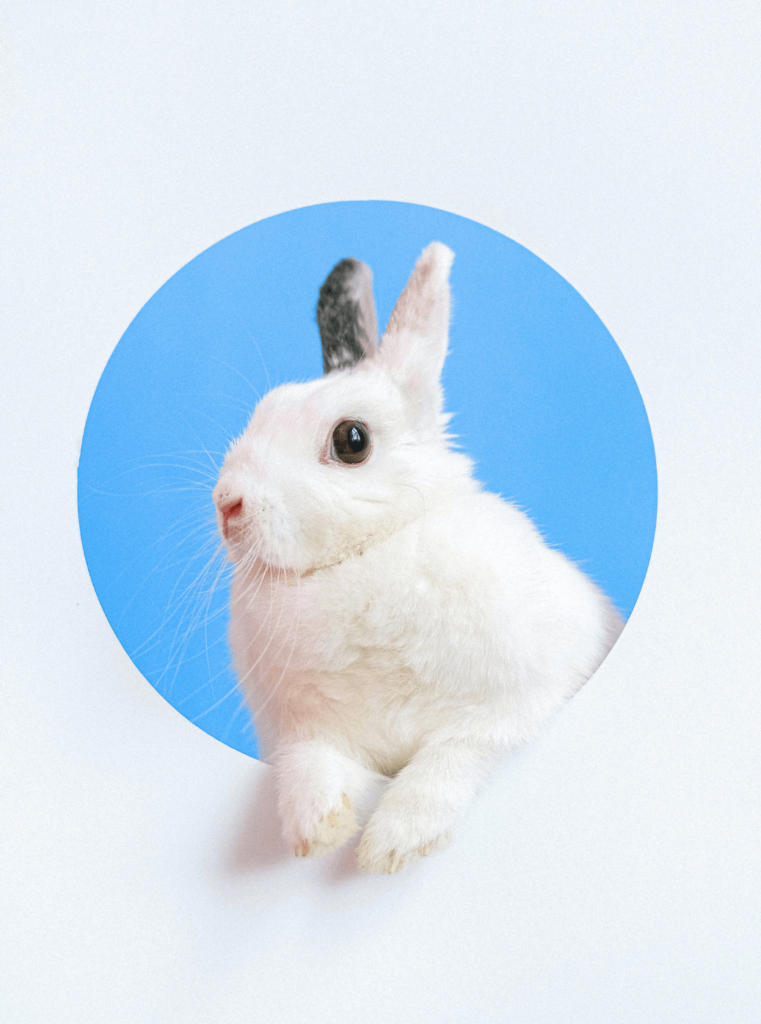 Lapin explorant un tunnel bleu clair