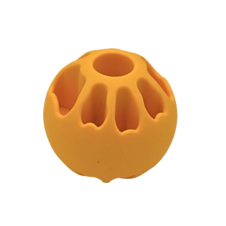 Jeu de balle Fibool pour chien dans un