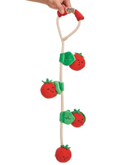Jouet de fouille et à tirer Tomate cerise