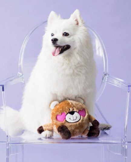 Chien qui joue avec la peluche Brainey ZippyPaws