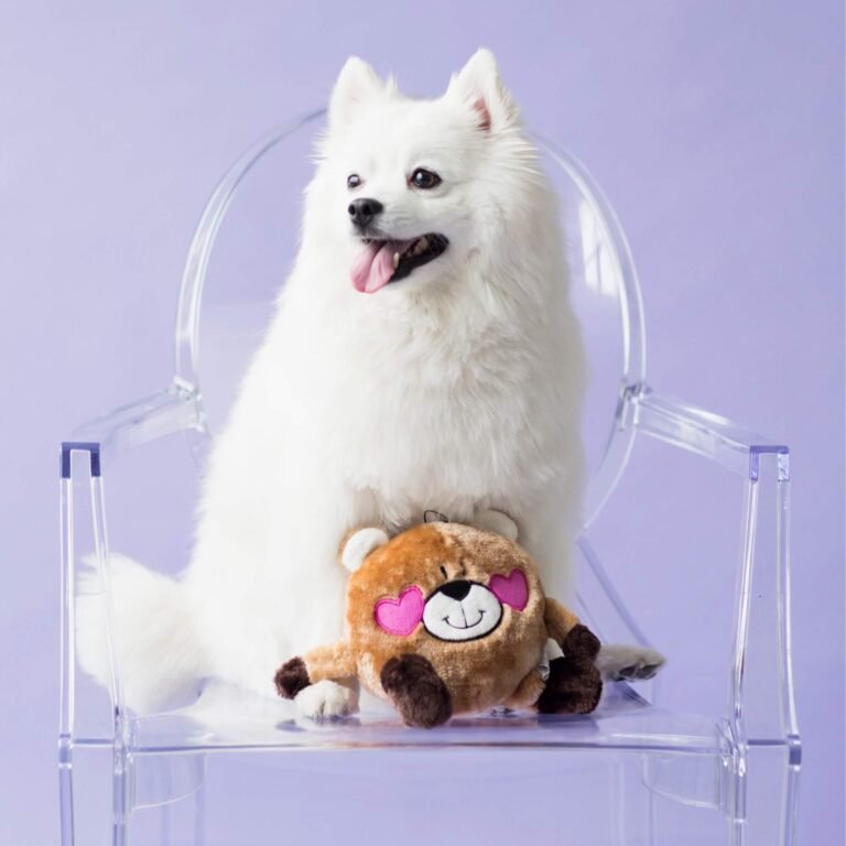 Chien qui joue avec la peluche Brainey ZippyPaws