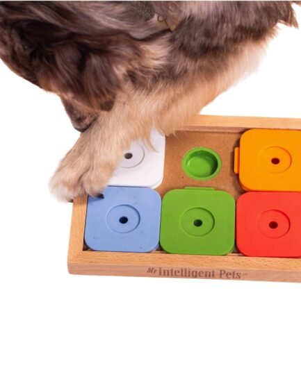 My Intelligent Dogs Jouet Chien Occupation Sudoku – Jouet Interactif Chien pour Entraînement Mental - Jeu Intelligence, Jouets pour Chiens Stimule Le Cerveau et Réduit l’Ennui - Medium Advanced Color