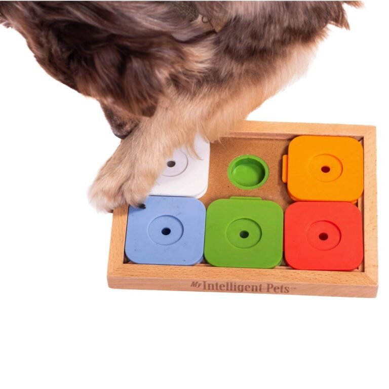 My Intelligent Dogs Jouet Chien Occupation Sudoku – Jouet Interactif Chien pour Entraînement Mental - Jeu Intelligence, Jouets pour Chiens Stimule Le Cerveau et Réduit l’Ennui - Medium Advanced Color