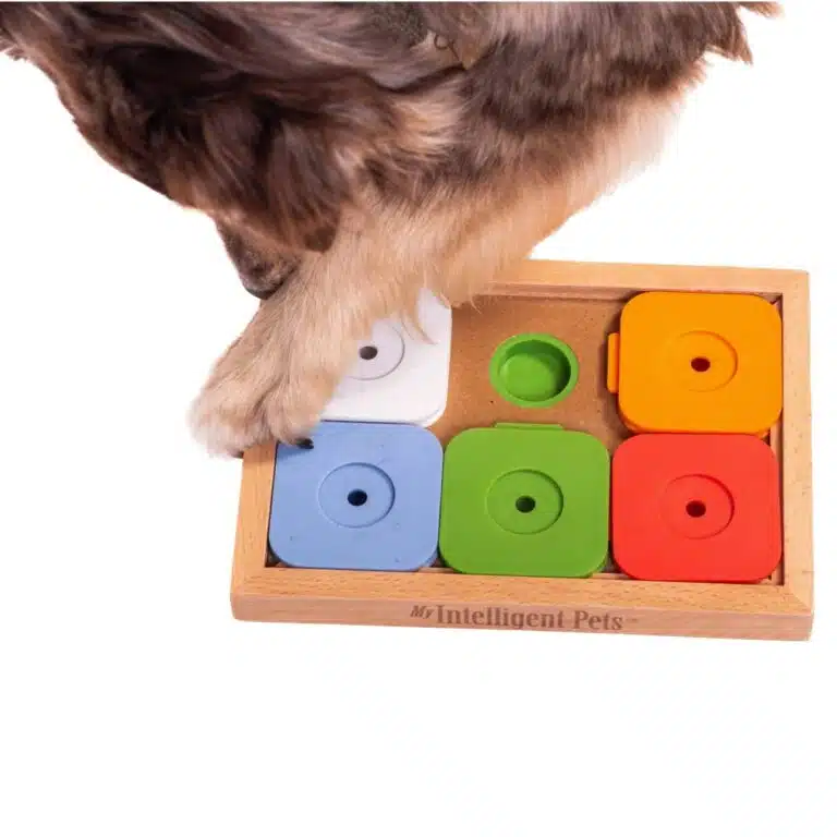 My Intelligent Dogs Jouet Chien Occupation Sudoku – Jouet Interactif Chien pour Entraînement Mental - Jeu Intelligence, Jouets pour Chiens Stimule Le Cerveau et Réduit l’Ennui - Medium Advanced Color