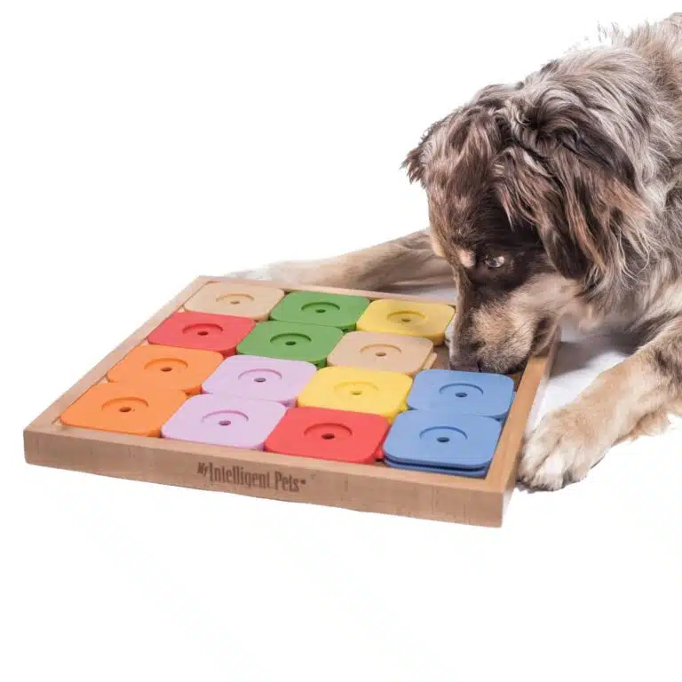 My Intelligent Dogs Jouet Chien Occupation Sudoku – Jouet Interactif Chien pour Entraînement Mental - Jeu Intelligence, Jouets pour Chiens Stimule Le Cerveau et Réduit l’Ennui - Genie Color