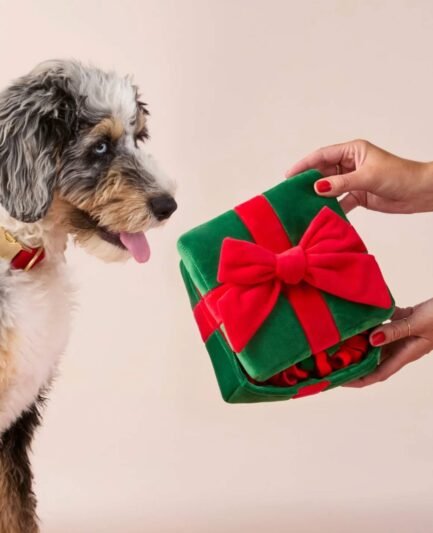 Chien reniflant le tapis de fouille intégré au jouet cadeau The Foggy Dog.