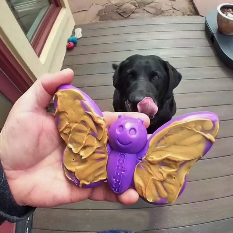 Jouet à beurre d'arachide chien en nylon durable pour un défi de stimulation mentale chien.