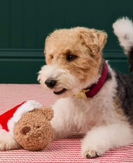Détail du jouet pour chien : peluche douce et papier bruissant crinkly.