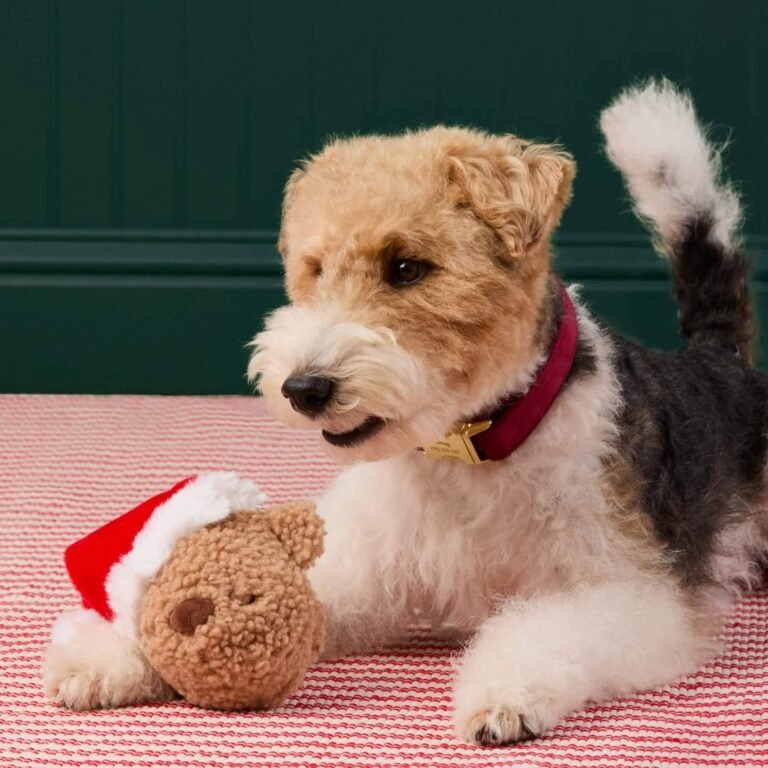 Détail du jouet pour chien : peluche douce et papier bruissant crinkly.