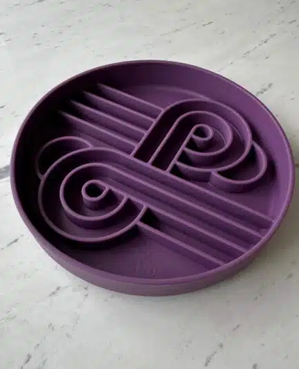 Bol mangeoire lente chien en silicone, coloris Zoomies, marque Ollie B. Good.