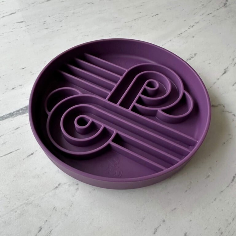 Bol mangeoire lente chien en silicone, coloris Zoomies, marque Ollie B. Good.