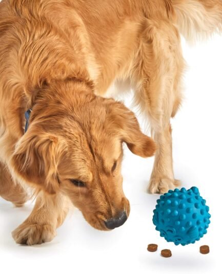 Brightkins Distributeur de friandises Tough & Tumble grand poisson-globe, jouet pour chien, distributeur de friandises, jouet interactif, stimulation cérébrale, cadeau, jouet d'anniversaire pour chien