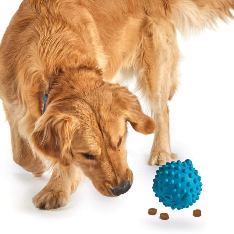 Brightkins Distributeur de friandises Tough & Tumble grand poisson-globe, jouet pour chien, distributeur de friandises, jouet interactif, stimulation cérébrale, cadeau, jouet d'anniversaire pour chien