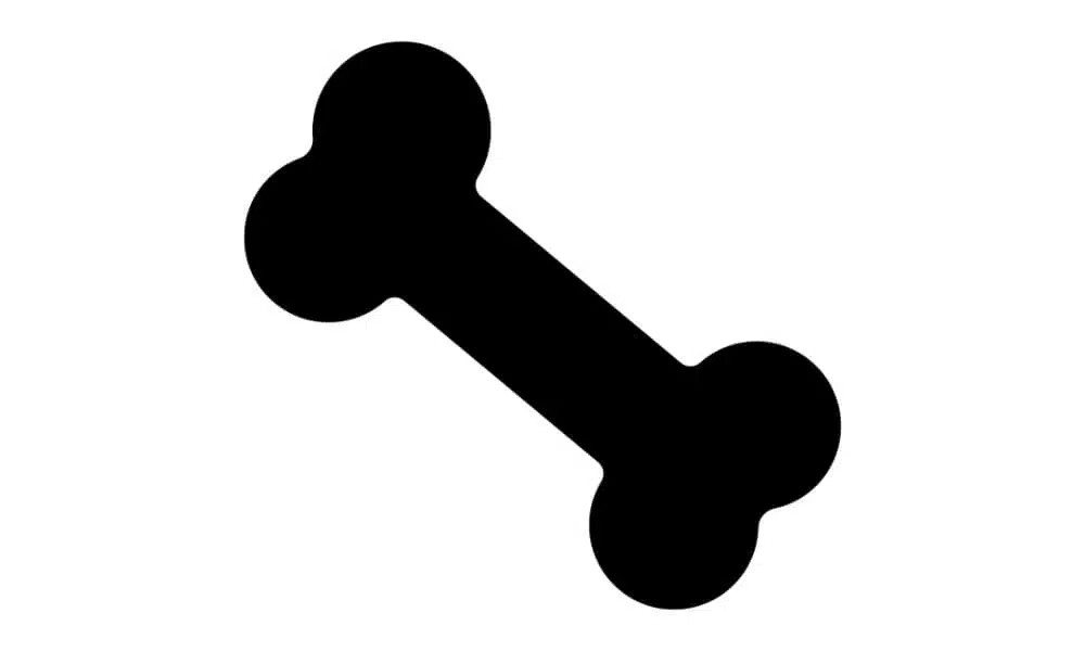 sélection de jouets à macher pour chiens