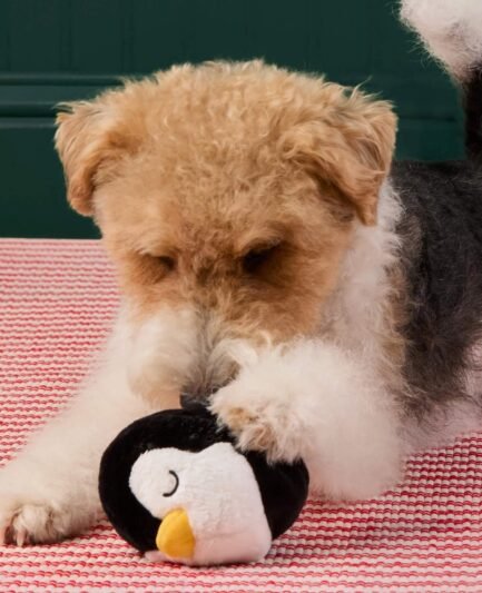 Jouet pour chien rebondissant 2-en-1 Pingouin