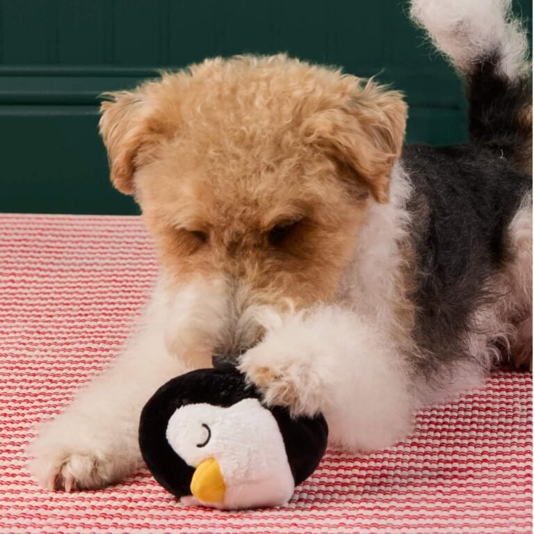 Jouet pour chien rebondissant 2-en-1 Pingouin