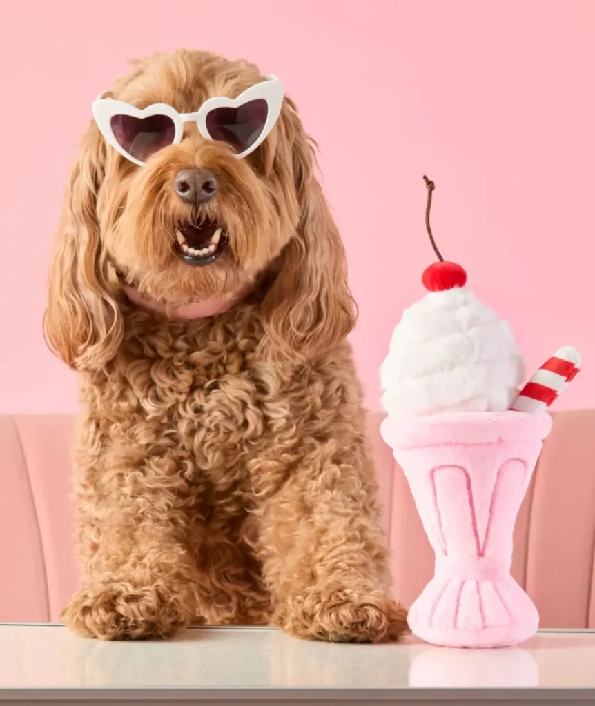 chien portant des lunettes avec jouet d'occupation milkshake
