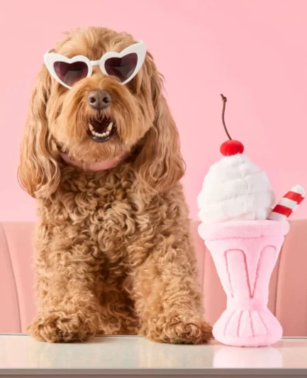 chien portant des lunettes avec jouet d'occupation milkshake